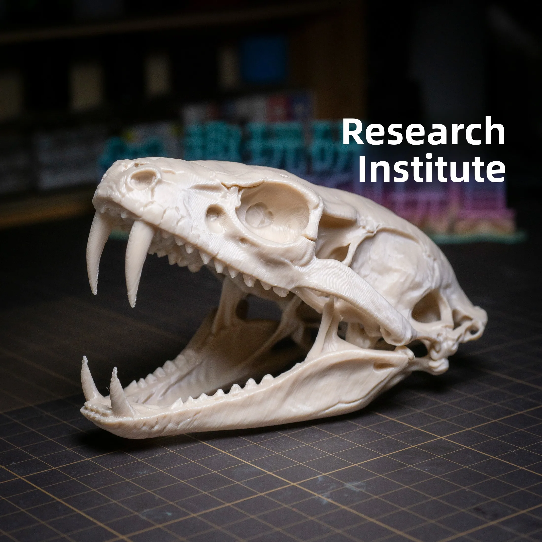 Dinosaur Skull Snake Head Eco-friendly Aquarium Pet Hideout Desert Style Toxic Free Plastic Model for Adult Collectors