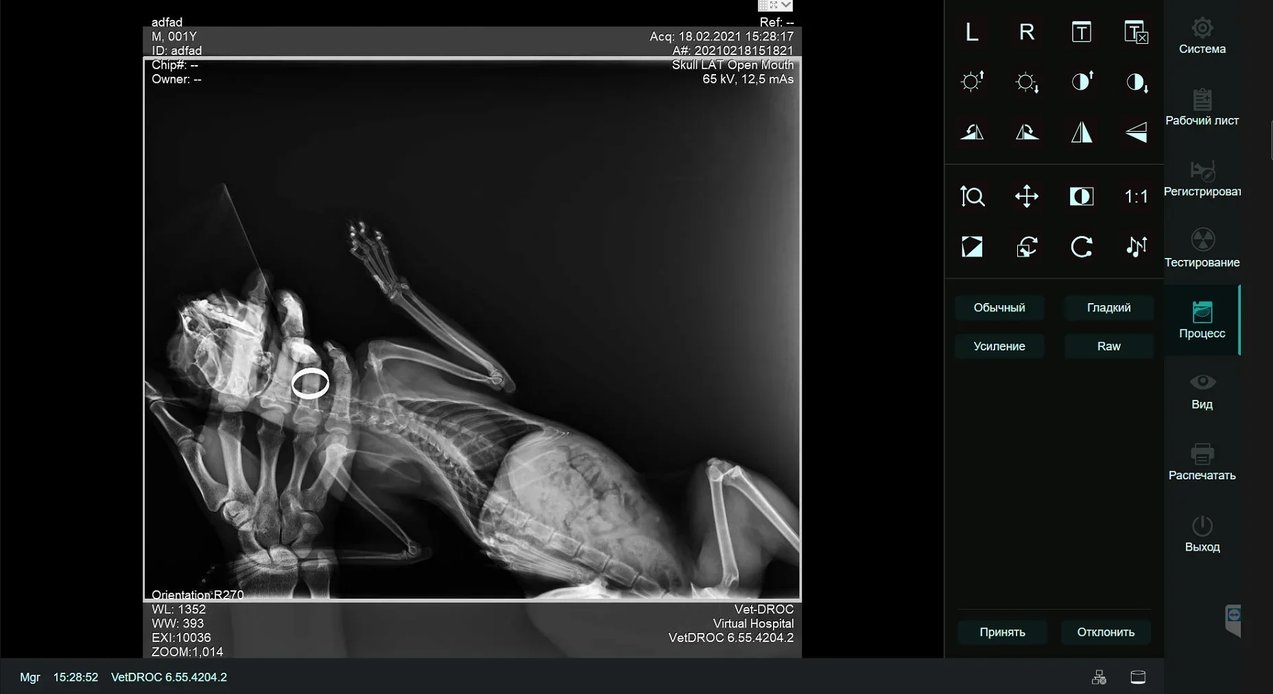 2024 Цифровой Xray DR FPD RX Цифровой рентгеновский детектор 14*17 139 мкм с плоской панелью для человека и ветеринарии