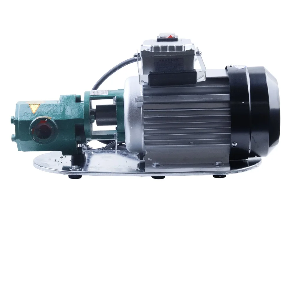WCB100 Portable Gear Oil Pump, High Temperature Alloy Gear Pump for Oil Press Equipment, 220V Transfer Pump