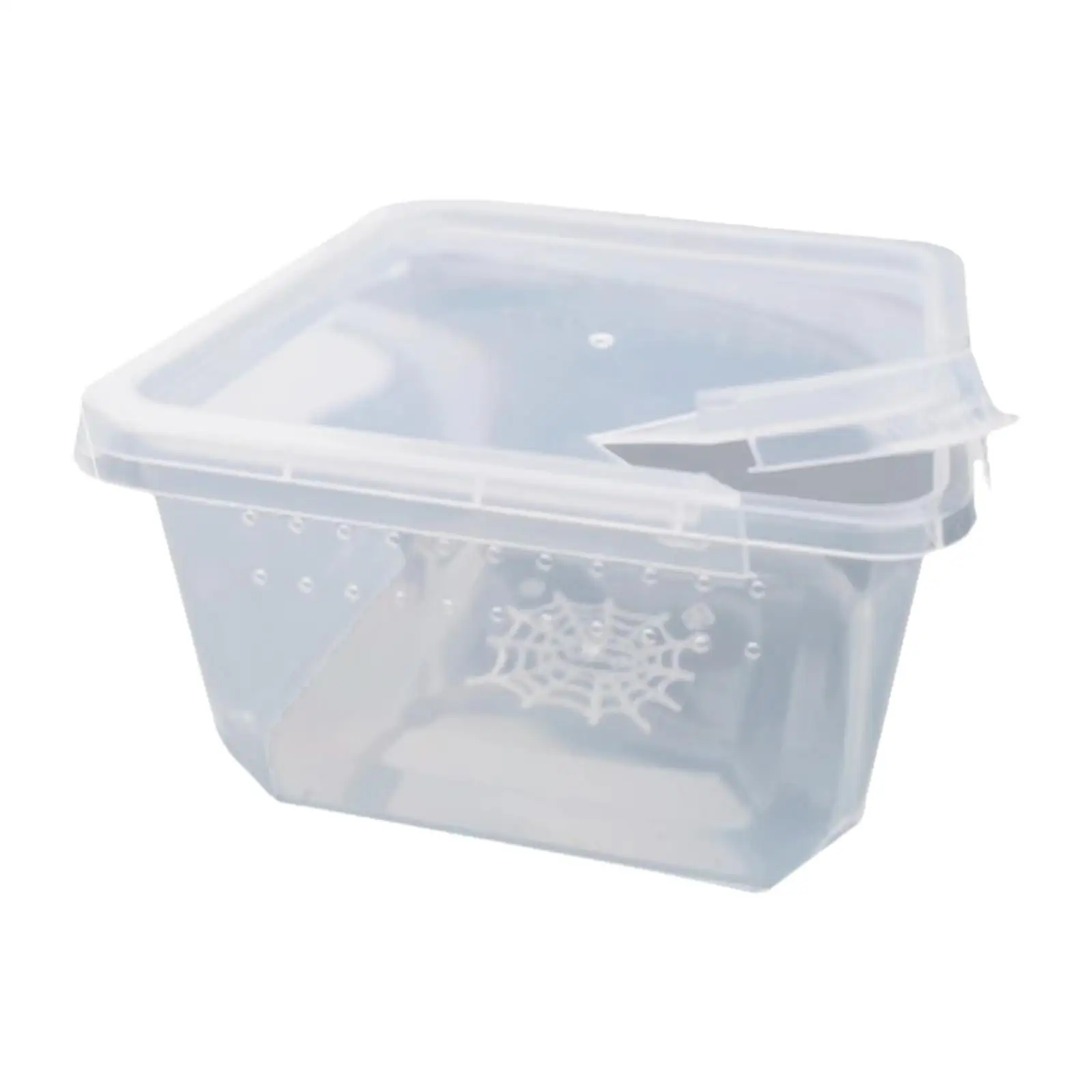 Reptile Feeding Box Plastic Clear Reptile Terrarium for Snake Gecko Scorpion