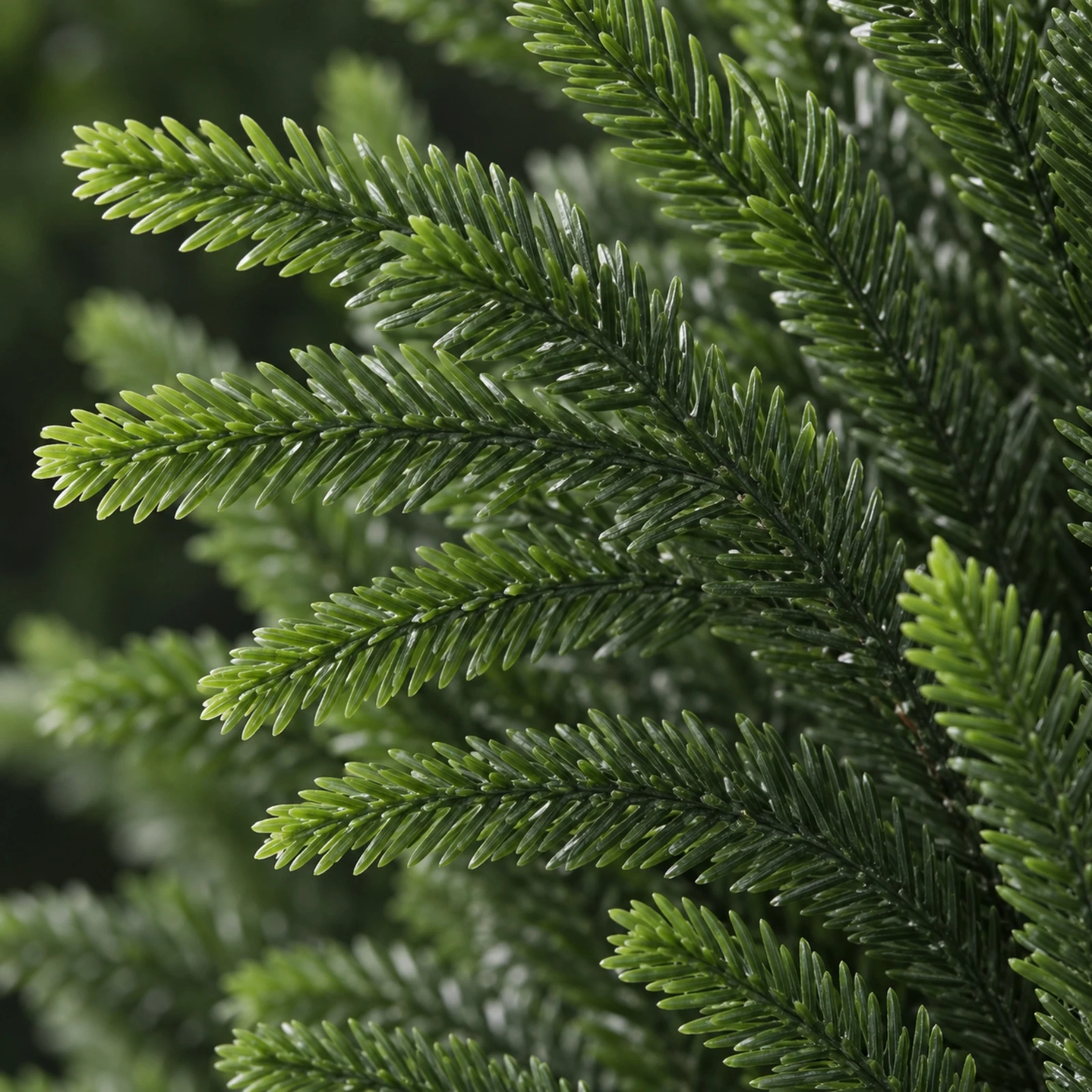 Artificial Norfolk Evergreen Christmas Tree Lifelike Artificial Norfolk Evergreen Tree Faux Greenery Slim Profile Long-Lasting