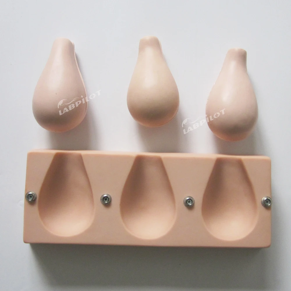 Artificial Abortion Simulated Uterus Contraception Uterine Pregnancy Anatomy Teaching Model