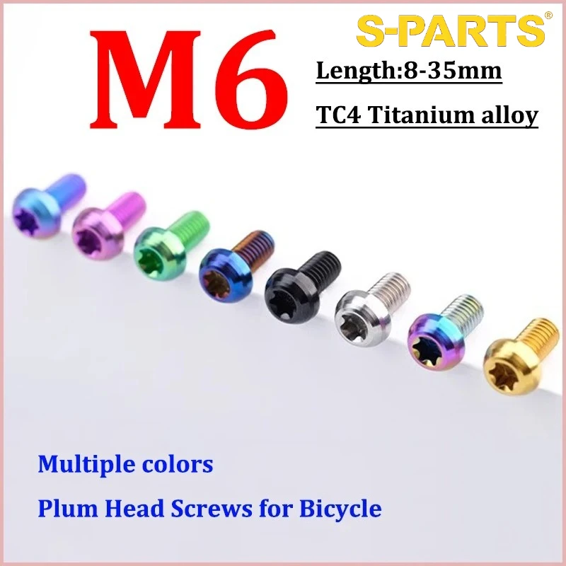 2pc Titanium Bolts M6 x 8/10/12/14/16/18/20/25/30/35mm Torx Plum Head Bolts Screws for Bicycle and Motorcycle Parts