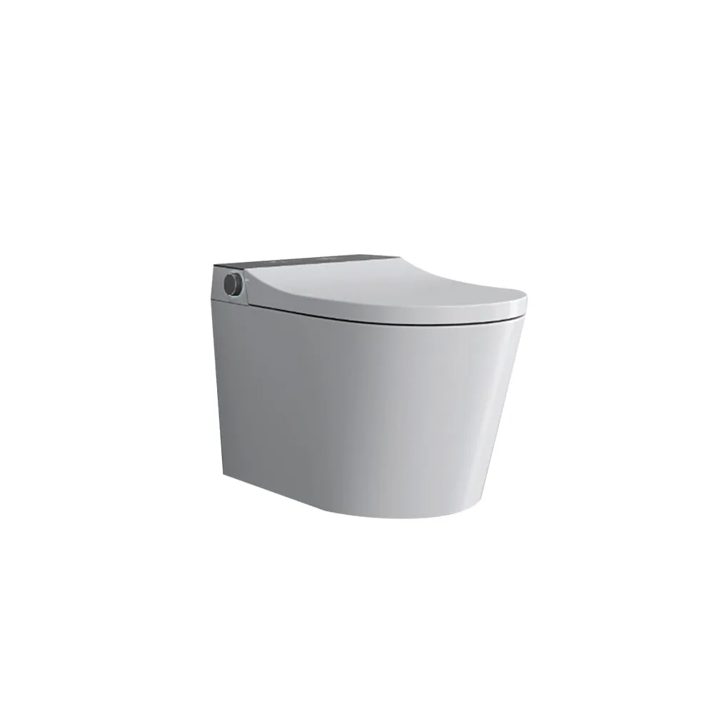 Durable Smart Toilet With Wall-Mounted Euro Design Bathroom Bidet Heated Seat Nice Automatic Features Inodoros Inteligentes