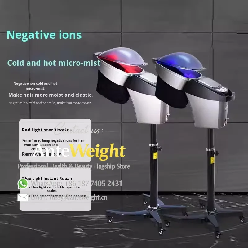 Hair Steamer O3 Ozone Biochemical Device for Salon Hair Care