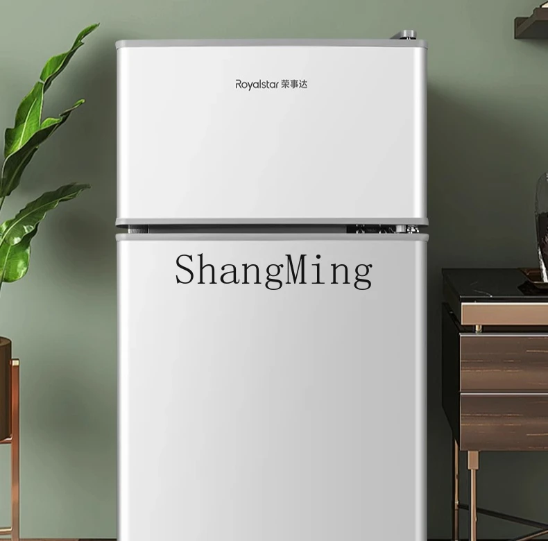 ZYY mini frigorifero a doppia porta singola a risparmio energetico per dormitorio in affitto per piccoli uffici domestici
