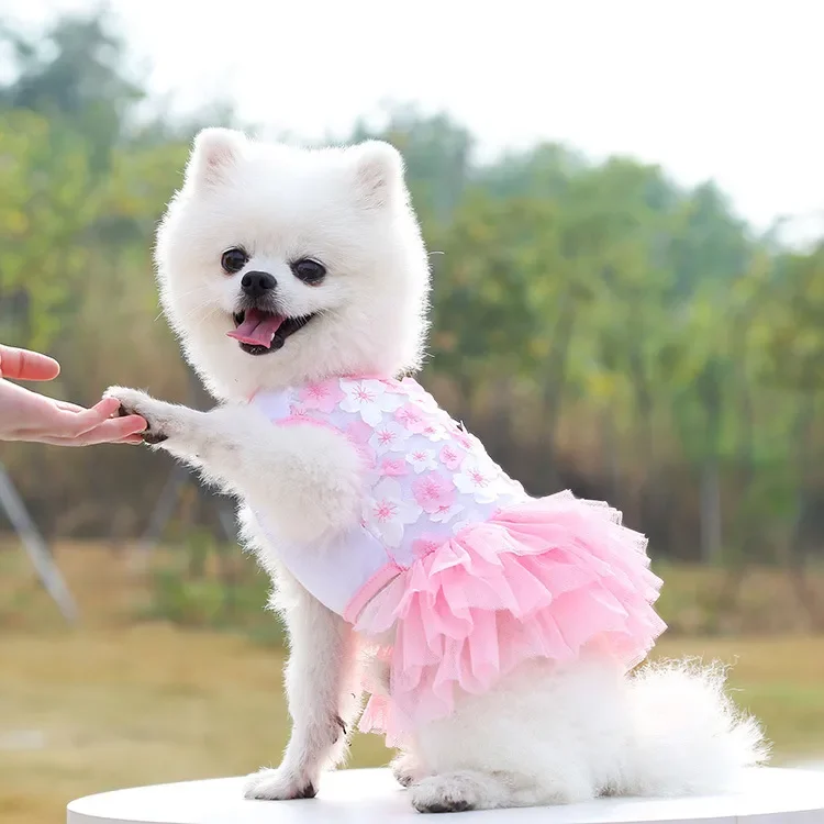 

New styles of pet dogs, cats, peach blossoms, cute and good-looking skirts, clothes, teddy bichon Frise pet supplies,
