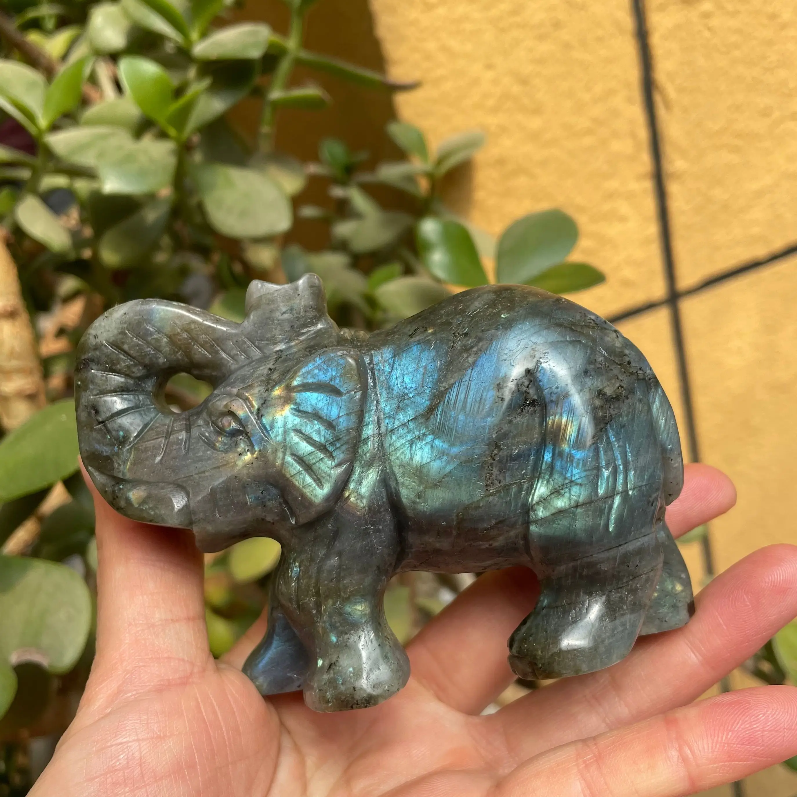 1PCNatural Crystal labradorite Elephant labradorite Animals Stone Energy Stone Crafts Small Decoration Home Decor Christmas Gift