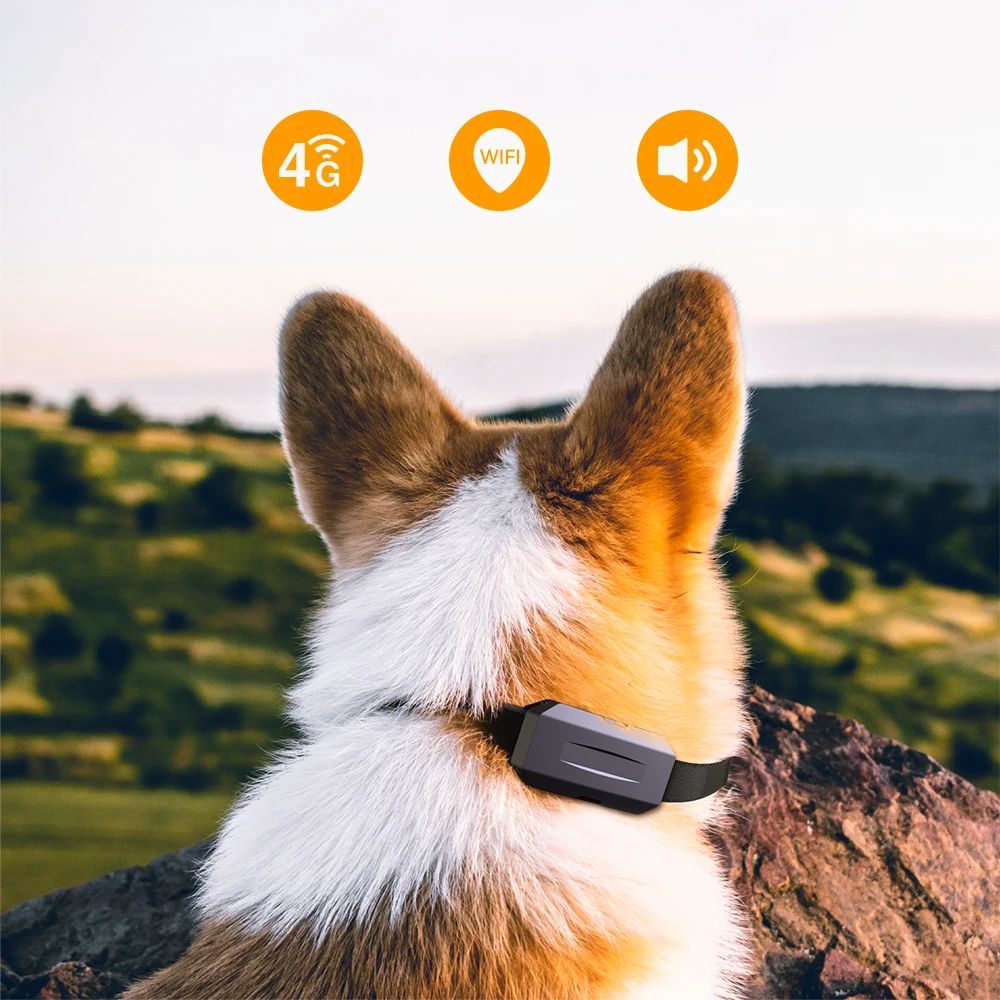 

New Smart Activity Tracer Real-time Positioning Locator Pet Cat Dog GPS Tracker With Free APP