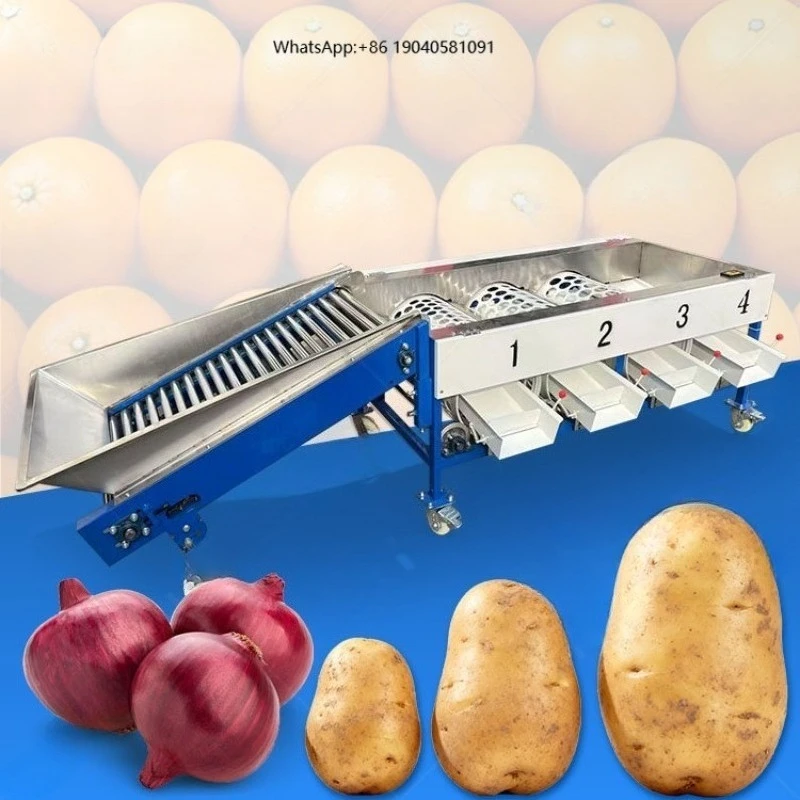 Automatic Onion Potato Date Palm Sorter Blueberry Citrus Mango Size Sort and Grade Machine