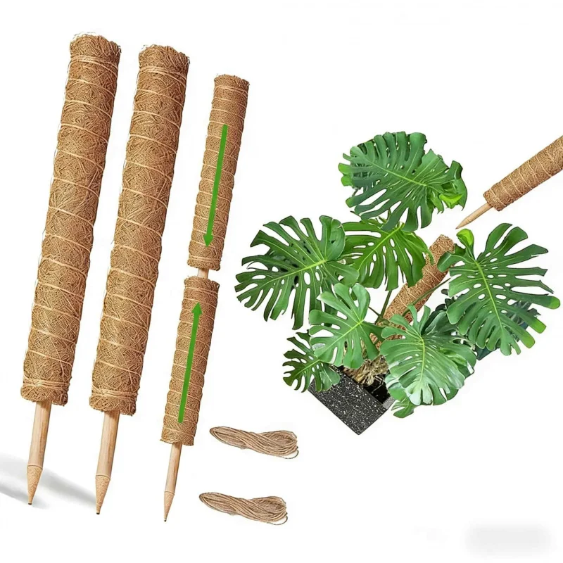 Indoor Green Plant Climbing Trellis2-4Packaged Natural Coconut Shell Moss Green Radish Ivy Fixed Support Stackable Climbing Brac