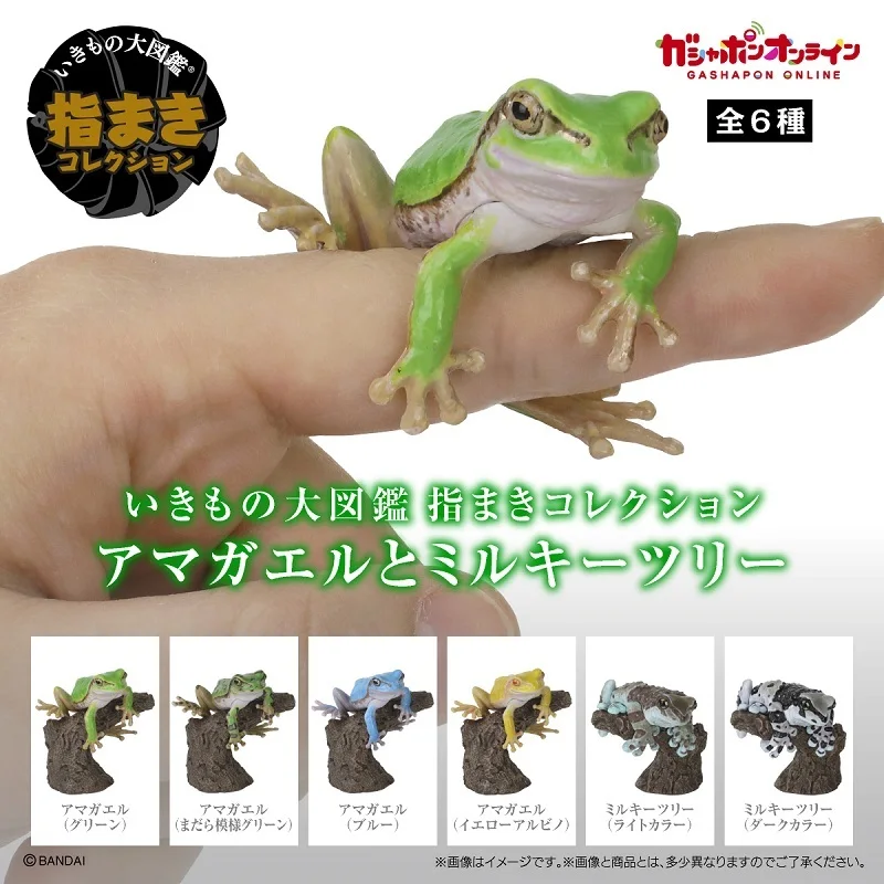 New Original Bandai Tree Frog 02 Premium Gashapon Egg Big Biological Map Of Rhacophorus Tree Frog Movable Model Gacha Toys