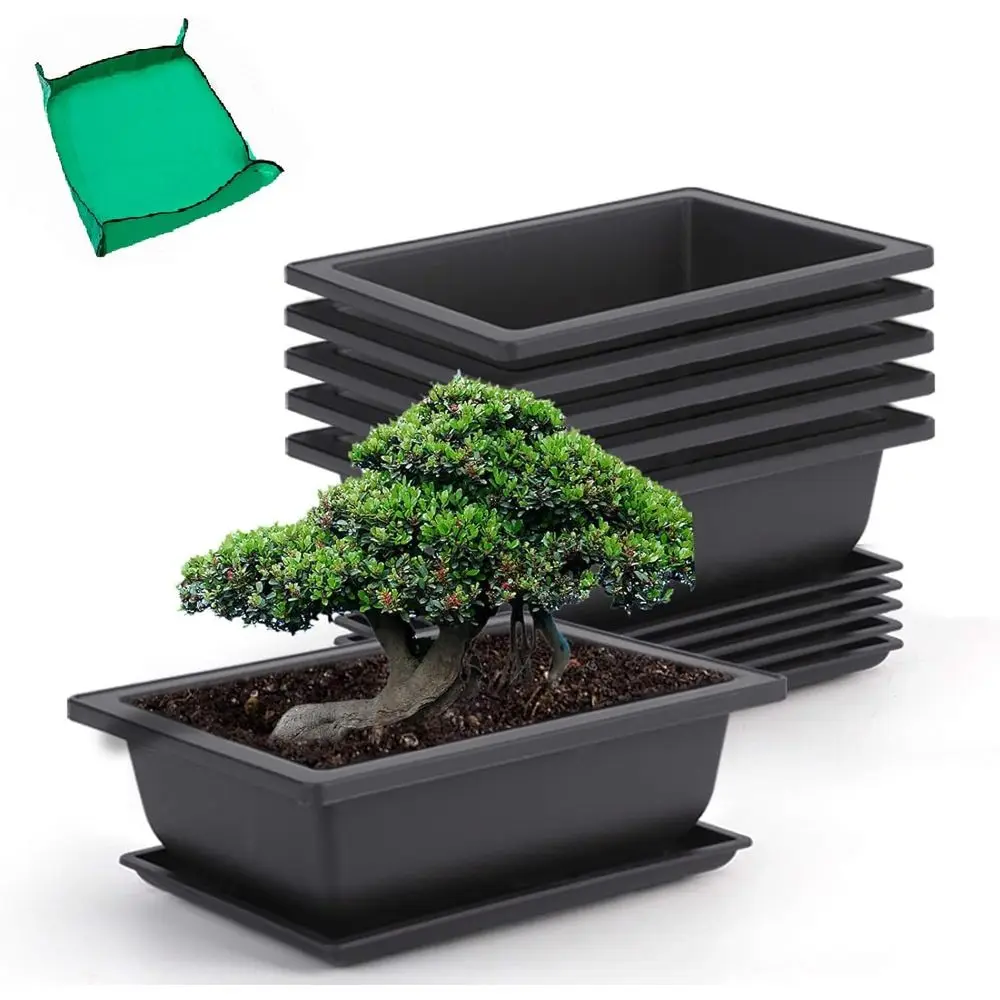 6 Pack 9 Inch Bonsai Pots with Drainage Trays, Complete Bonsai Tree Training Kit, Ideal for Indoor or Outdoor Plant Growth