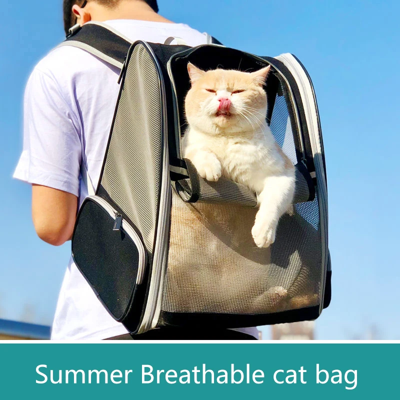 Summer Breathable cat bag Going Out Portable pet Bag Back Cat Double Shoulder Backpack Carrying dog school bag dog bag cat bag