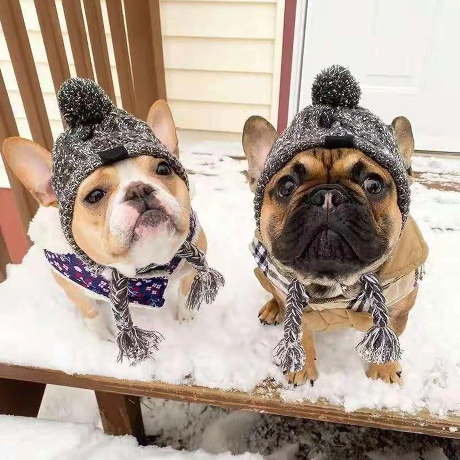 Winter Warm Dog Hats Windproof Knitting French Bulldog Hat For Dogs Chihuahua Hat Fluffy Ball Pet Hat Puppy Accessories