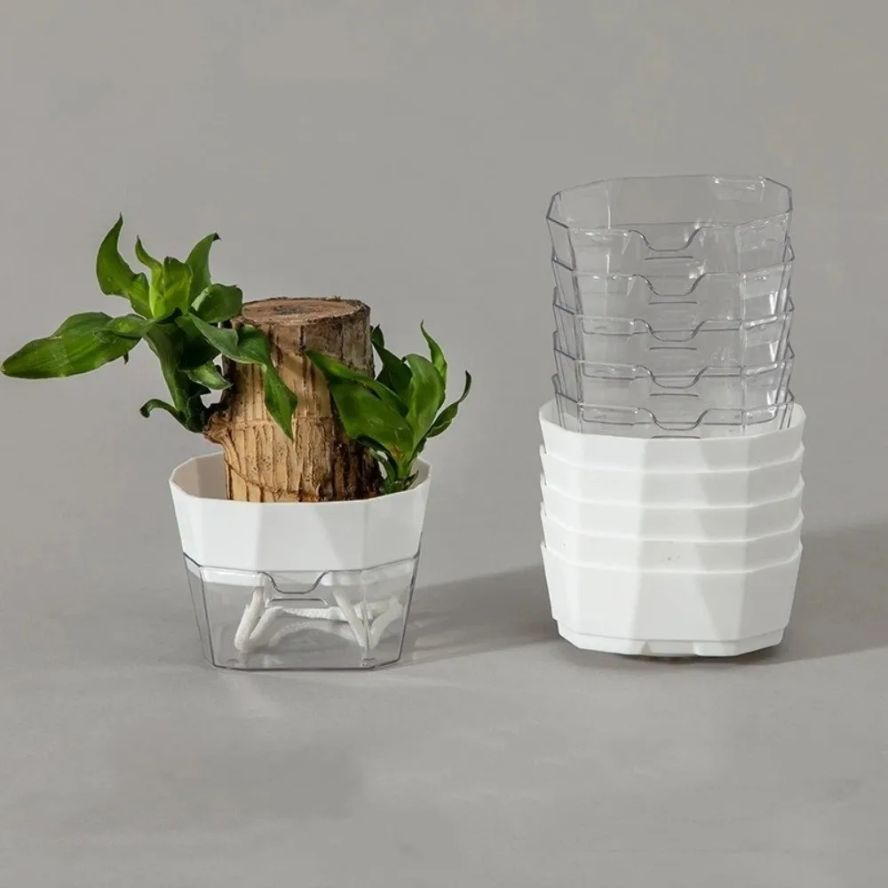 

Набор из 6 гидропонных контейнеров для растений с видимым корневым систематизированием, пластиковые самополивающиеся горшки для цветов, экологичные, для ленивого садоводства