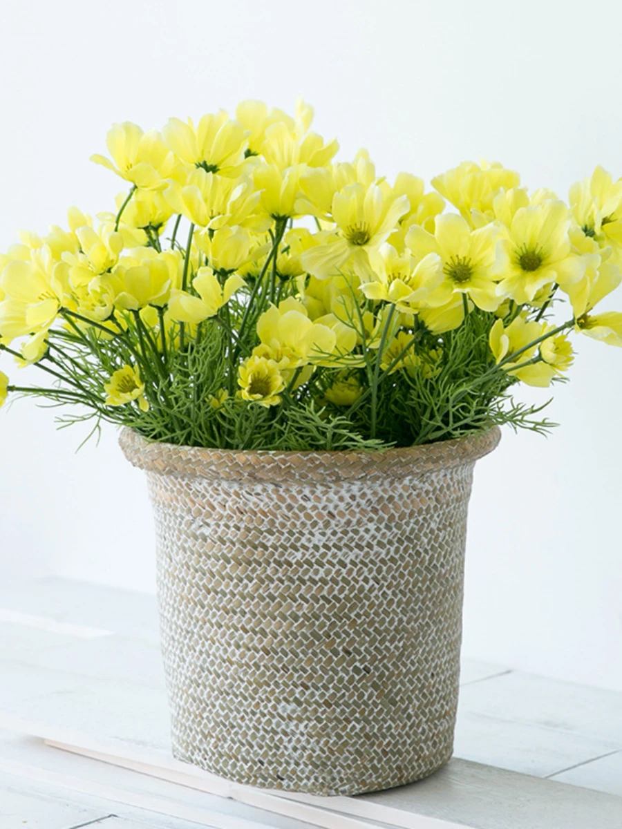 Fleur artificielle Cosmos pour la maison, dĂ©coration de mariage, accessoire de photographie, fleur Gesang, 60cm, 6 tĂȘtes