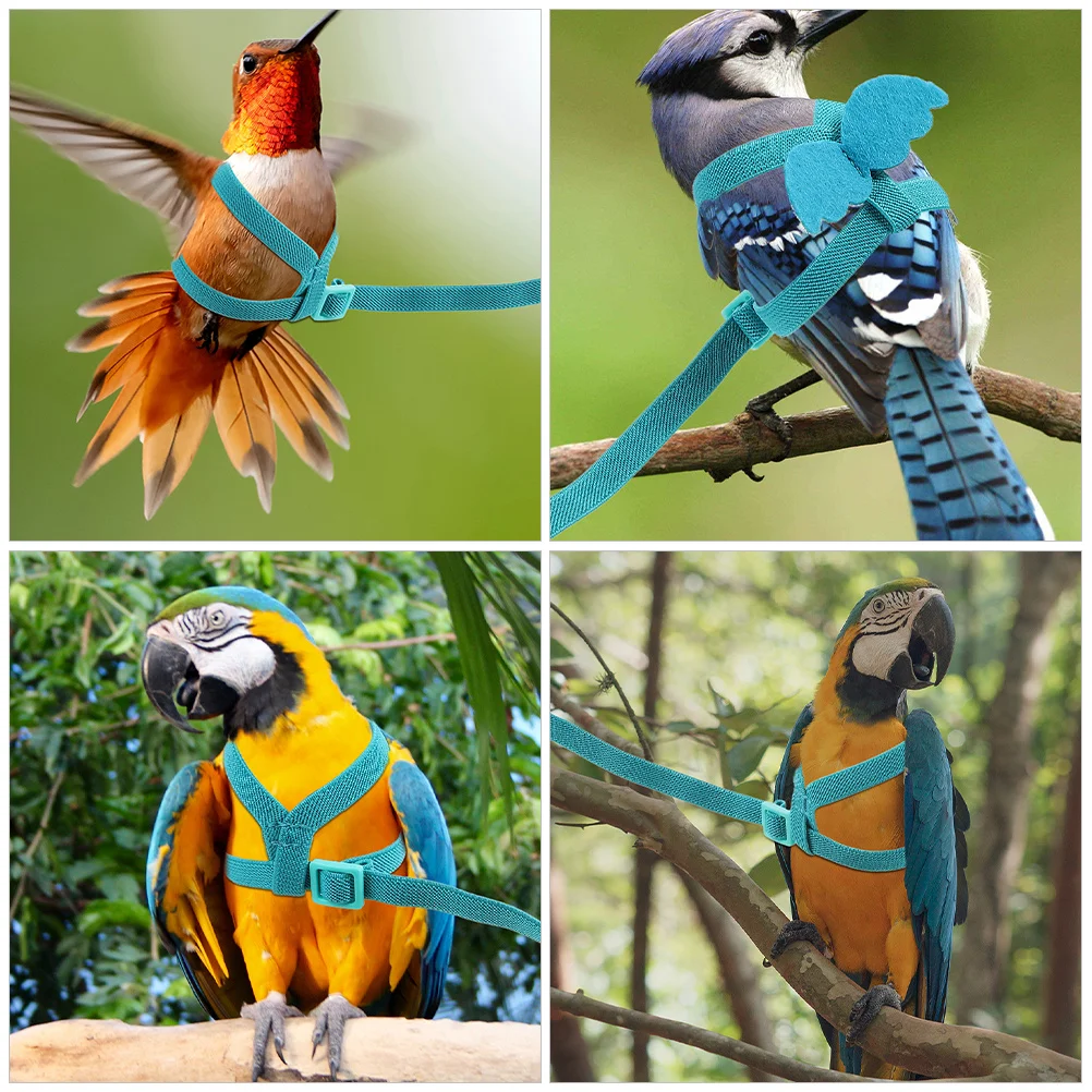 خفيفة الوزن الببغاء تحلق تسخير قابل للتعديل مقاومة للاهتراء المقود ل Cockatiels Conures في الهواء الطلق التدريب الداخلي الطيور تسخير #4