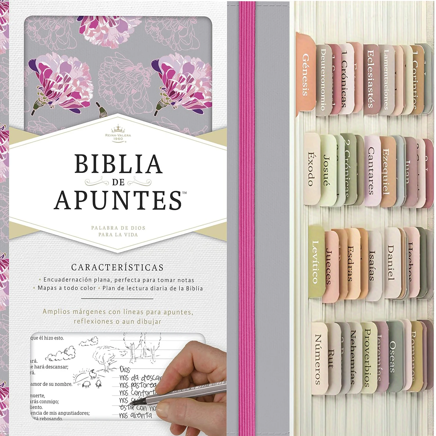 Spanish Bible Tabs, 75 Tabs, Boho Theme, Laminated Bible Tabs for Women and Men, Bible Tabs in Spanish, Bible Tabs Spanish