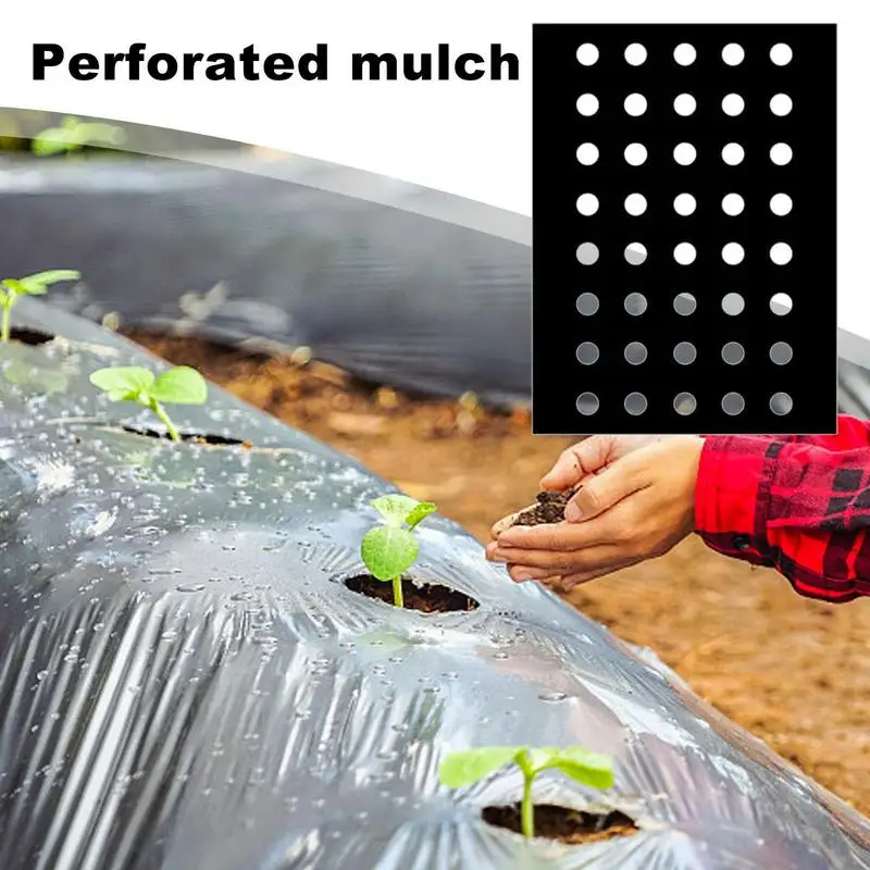 Black Mulch Perforated Garden Vegetable Grow Films Weeds Control Agriculture Mulch Pre Punched Hole Plastic Protection Cover