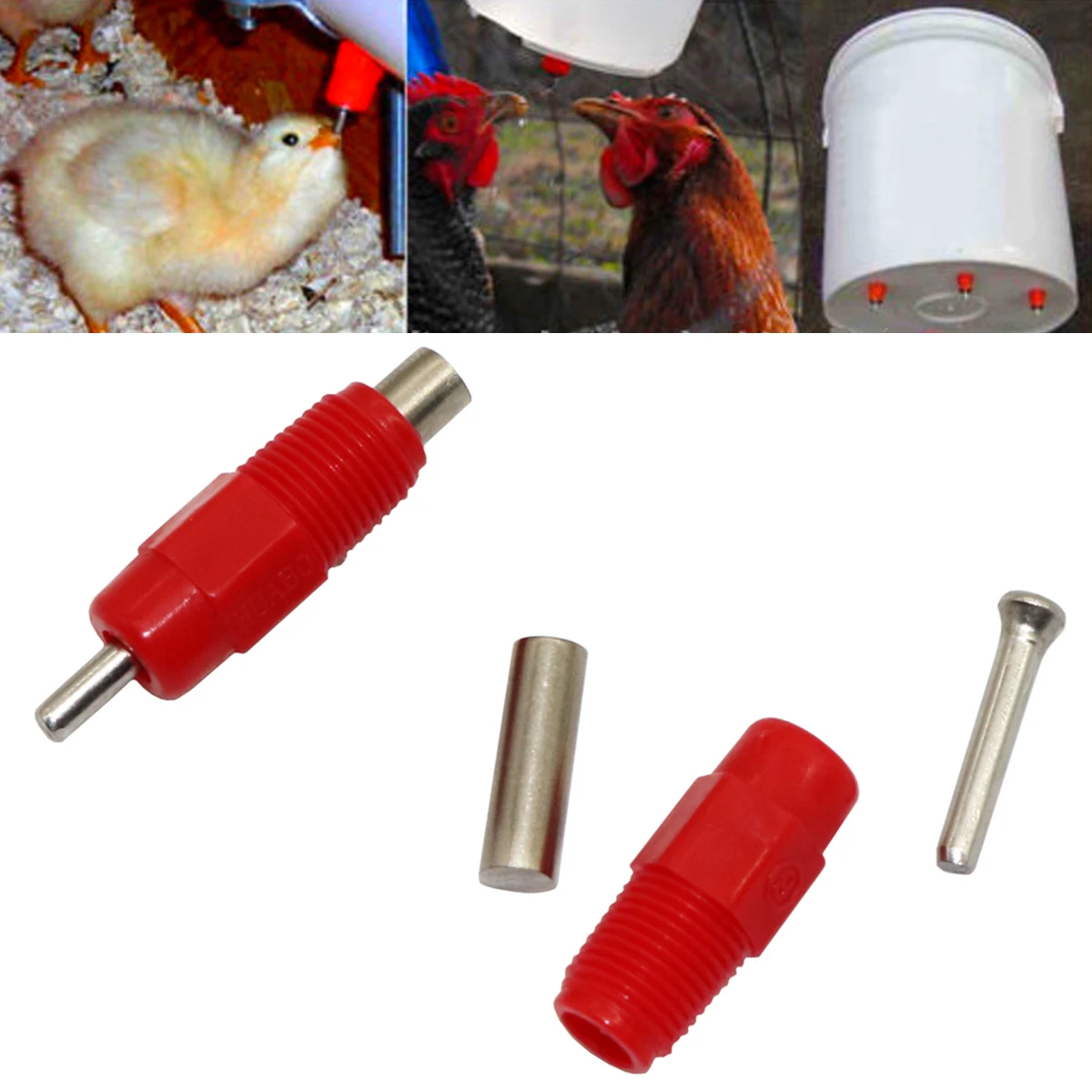 10Pcs Poultry Steel Column Automatic Drinking Spout Chicken Quail Parrot Birds Square Tube Nipple Waterer Poultry Supplies Red