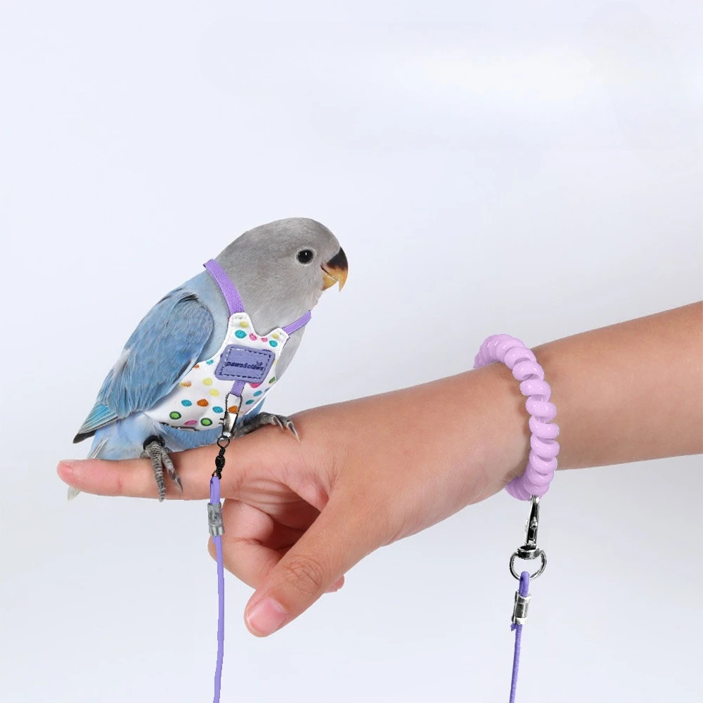 2m Super Light Parrot Clothes Outdoor Harness Bird Flying Leash Anti-lost Flight Suit for Sun Conurm