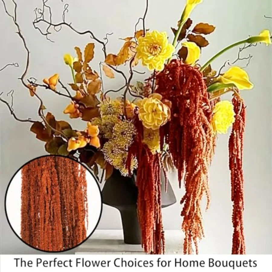 5 قطعة أمارانثوس المجففة زهور معلقة زهرة محفوظة طبيعية لمعرض قوس الزفاف الجدار الشنق عاشق الدموع الأزهار أرا #6