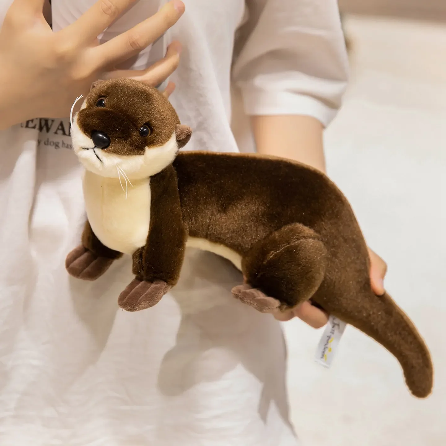 Por que os gatos se enrolam em forma de pão? A razão por trás da postura do  gato-pão - Catit, image size:1440x1440