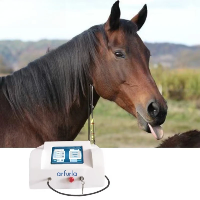 Arfurla Premium Pet Medical Equipment Level 4  Machine