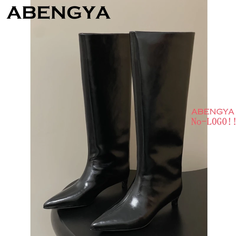 2025 Autumn Winter Kitten Heels Knee-High Boots Women Pointed Toe Real Leather Mid-calf Boots Fashion Knight Long Botas Mujer view 2