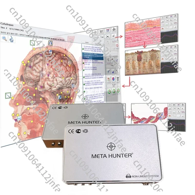 2024 Meta Hunter 25D NLS Device for Organs Health Analysis and Therapy Health Analyzer Machine