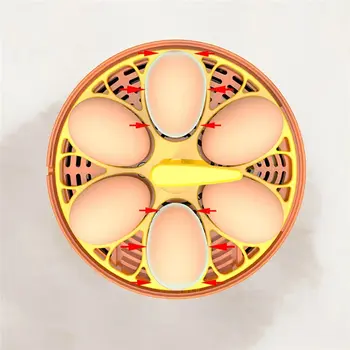 10 最佳銷售 育雛器 - №4