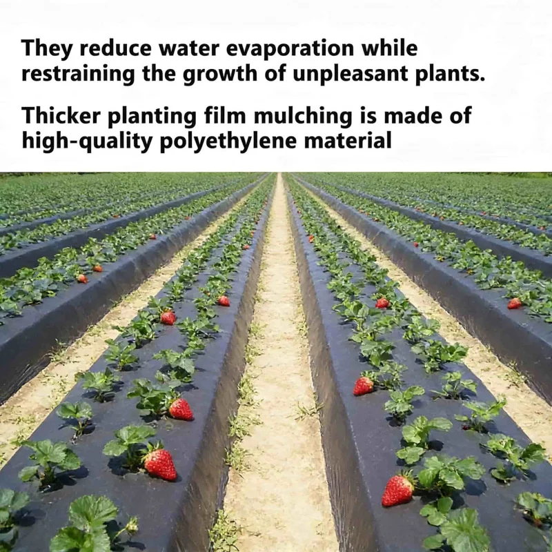 filme-de-mulching-biodegradavel-preto-para-estufas-agricolas-alta-retencao-de-umidade-controle-de-ervas-daninhas-e-protecao-de-plantas