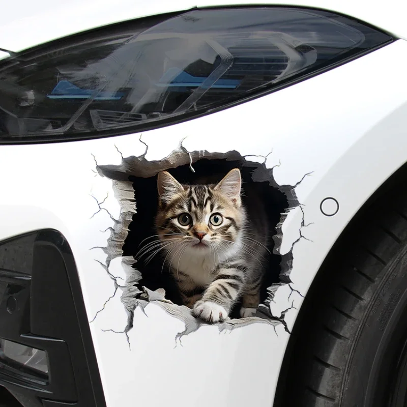 Stiker mobil kucing 3D penutup Bumper tubuh otomatis goresan sepeda motor dekorasi tangki bahan bakar Cowl depan Aksesori Kendaraan hewan yang dapat dilepas