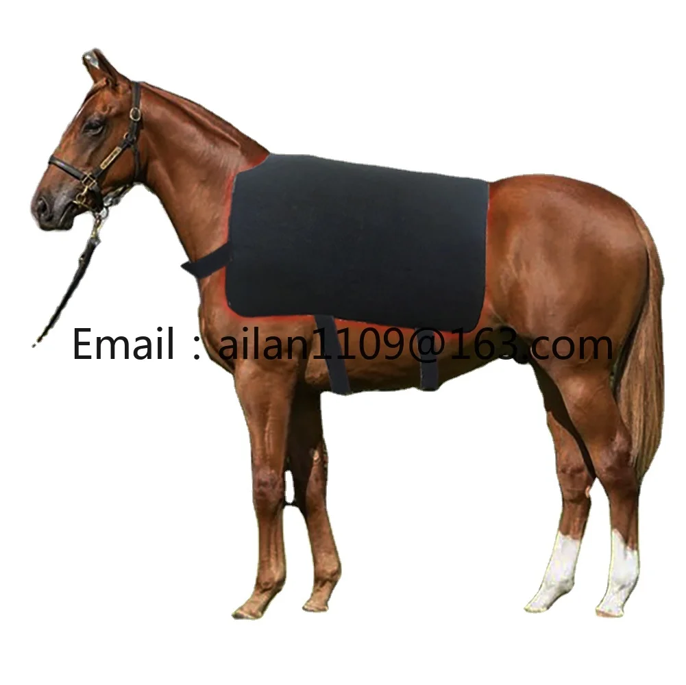 

Factory Price Pain Relief Health Care Red Light Infrared Light Therapy 660nm 850nm Horse Care Product