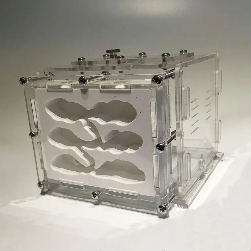 DIY Gypsum Ant Farm Nest with Feeding Area Moisturize Ecological Plaster Ant House Workshop for Pet Ant Hill