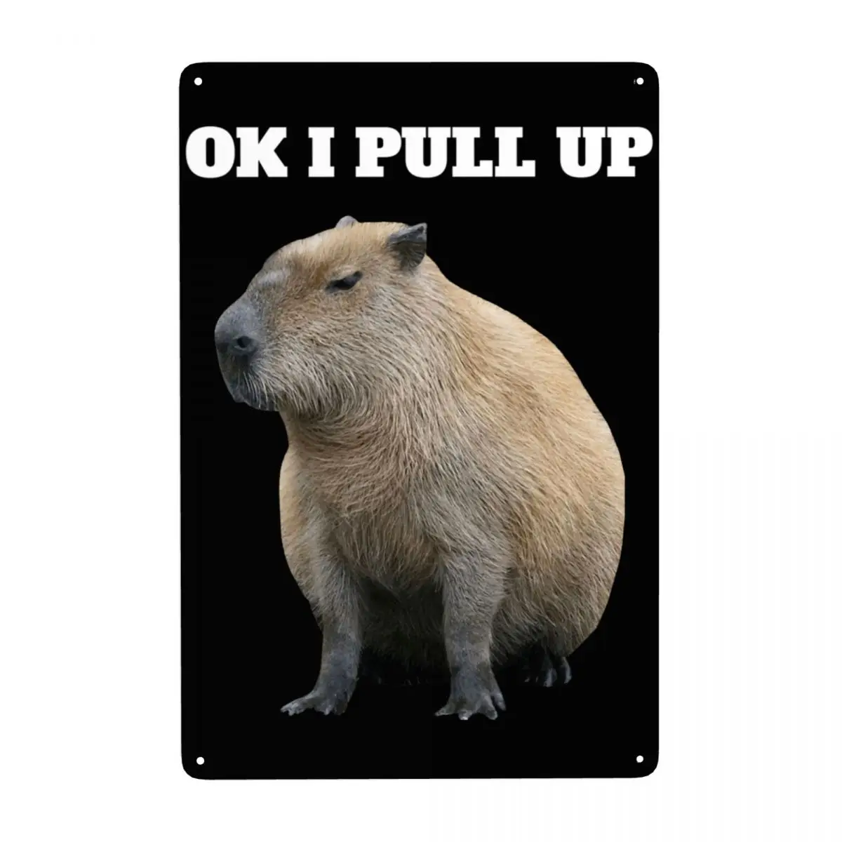 Ok Saya Pull Up Capybara Metal Tin Sign Custom Retro Animal Pet Plaque for Office Store Pubs Club Man Cave Bar Wall Decor Art