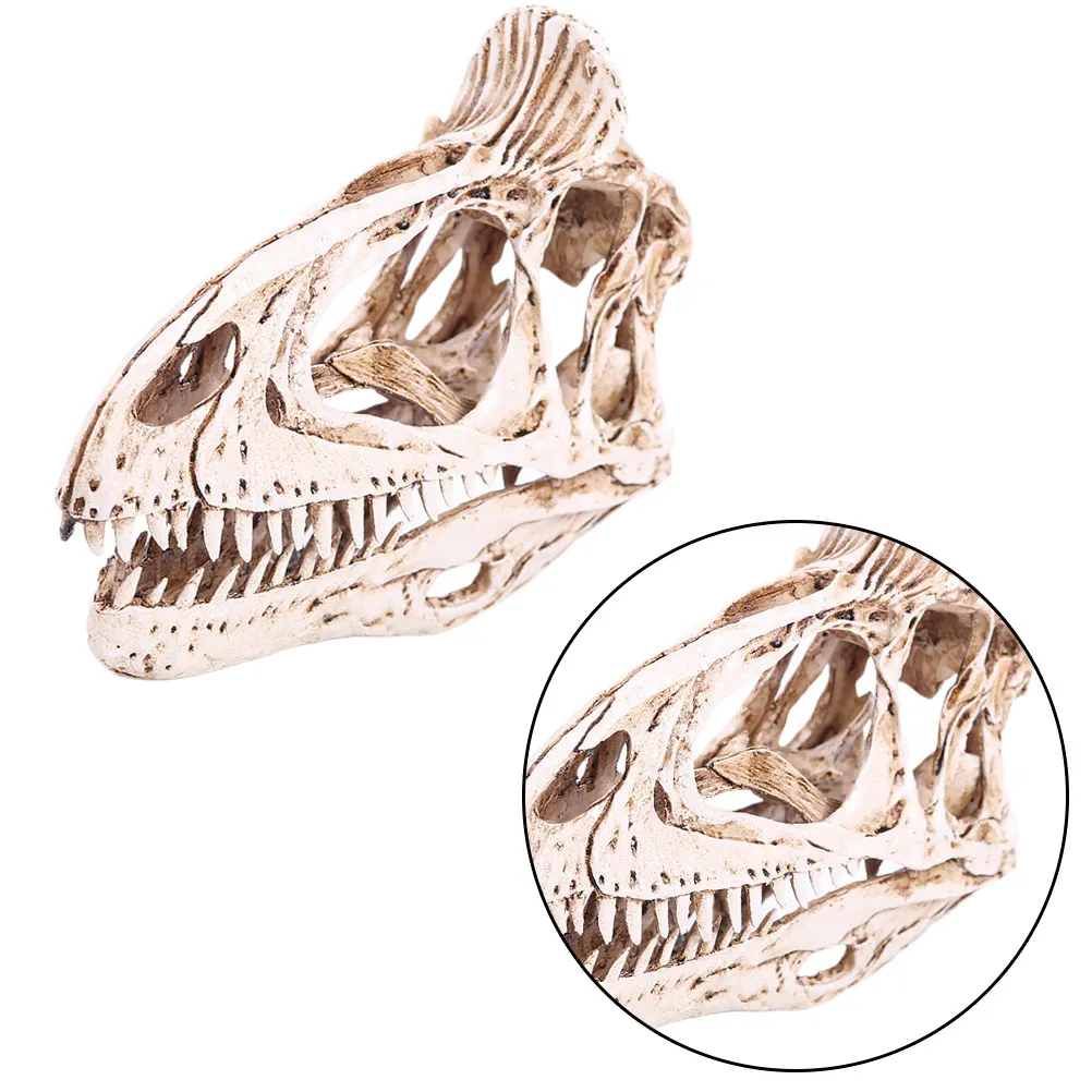 1Pcs Cryolophosaurus Skull Ornament Resin Dinosaur Crafts Decoration Vintage Halloween Home Office Cafe Decor Festive Table