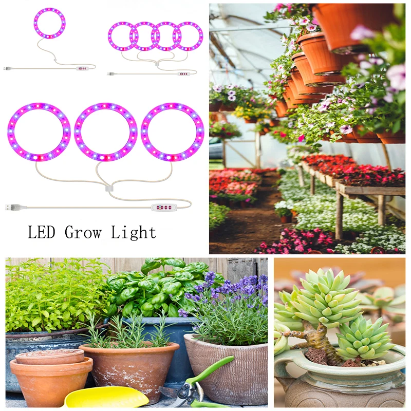 1/2/3/4Heads LED Grow Light Full Spectrum Round Plant Growth Light Dimmable Growing Lamp with Timer for Indoor Plants Herb USB