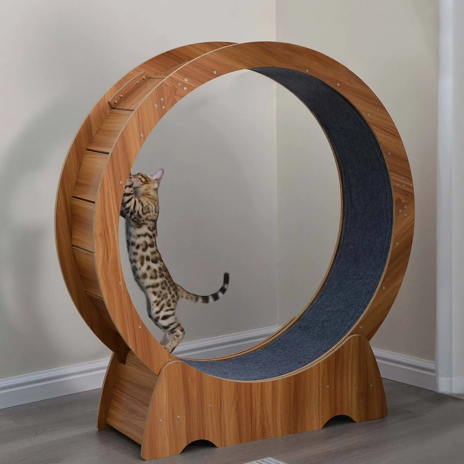 Cat Exercise Wheel Large Wooden/PVC Cat Treadmill Running Wheel Cat Toy United States