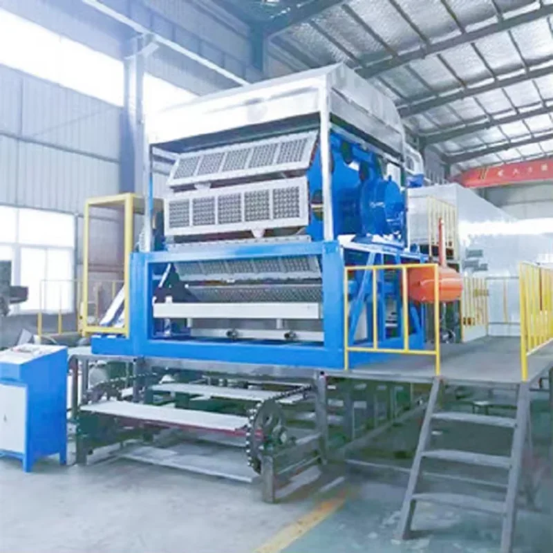 Small Business Egg Tray Making Machine Egg Tray Production Line Machinery Goose Egg Tray Making Machine with Low Investment