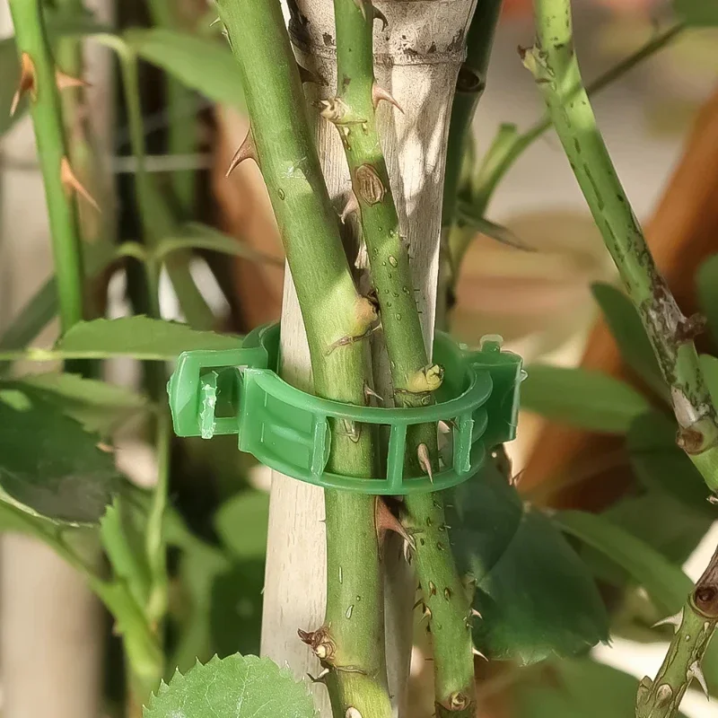 Clips de fixation pour plantes réutilisables (50-500 pièces) – Outil de connexion pour légumes, vignes, tomates – Protection et soutien pour greffage