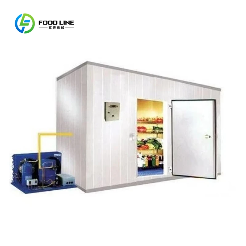

Hot Sale Customized Container Cold Room Manufacturer - Commercial Walk in Freezer for Fruits & Vegetables