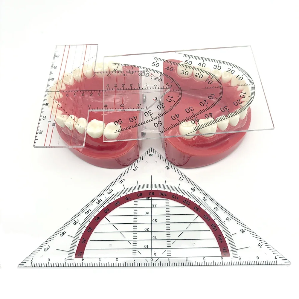 

3pcs Dental Lab Denture Drawing and Alignment Dental Ruler T-Shape Examination Orthodontic Symmetry Measurements Multifunctional