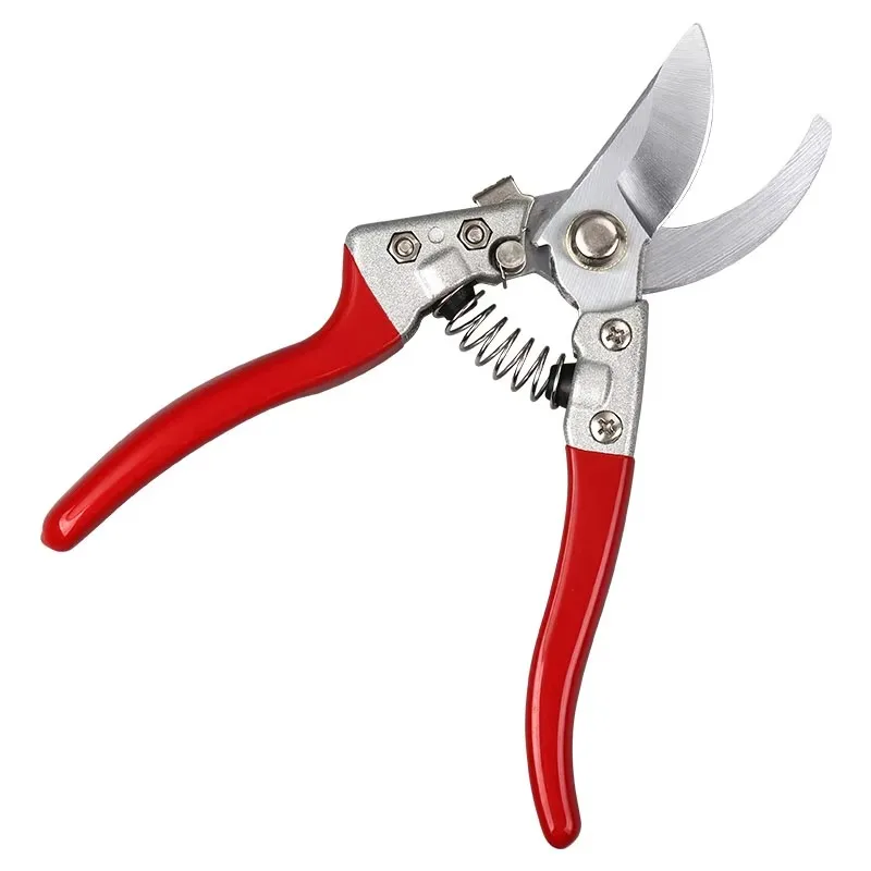 

Powerful Garden Shears for Pruning, High-Quality Flower Shears, Pruning Tools for Flowers, Shrubs, Roses, and Fruit Trees