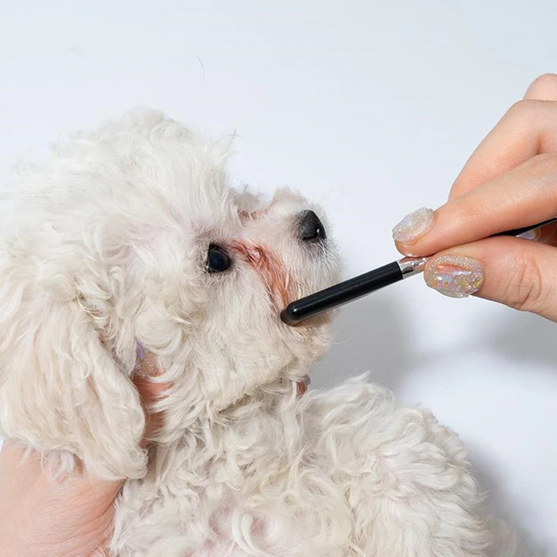 1/2 ชิ้นแบบพกพา Pet Eye Comb Tear Stain Remover แปรงแมวขนาดเล็กลูกสุนัขกรูมมิ่งหวีกรรไกรเครื่องมือสัตว์เลี้ยงอุปกรณ์ทําความสะอาด