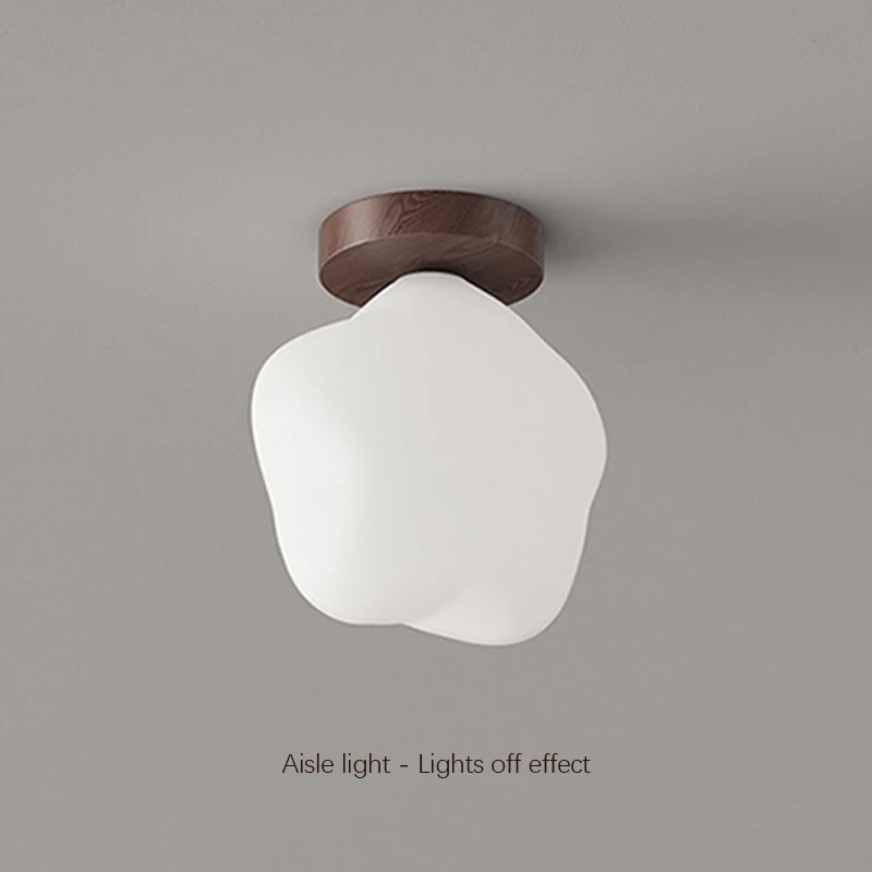 الشمال LED ضوء السقف ستار المدخل شرفة الجدار مصباح إضاءة داخلية غرفة نوم المعيشة غرفة الطعام الديكور أضواء السقف #5