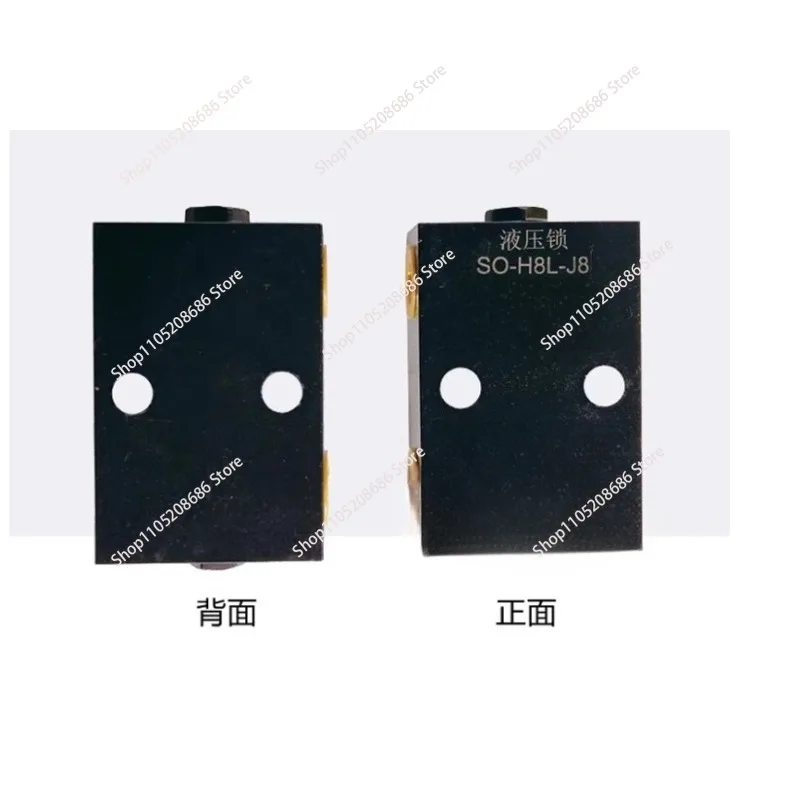 H8L-J8 tubular hydraulic  bidirectional hydraulic cylinder leg lifting platform crane pressure retaining valve 16mm