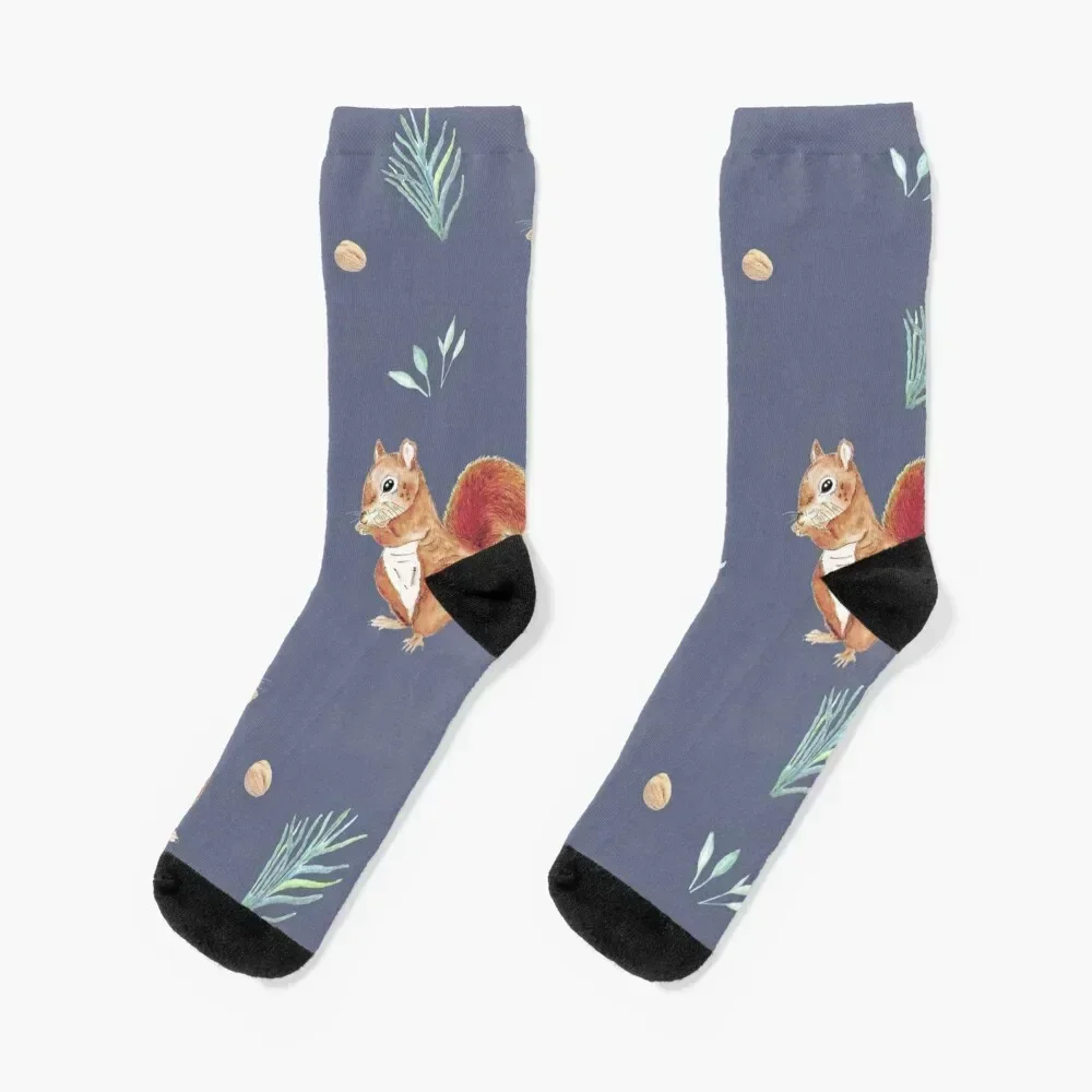 squirrel drawing in watercolour Socks soccer anti-slip winter loose Socks For Women Men's