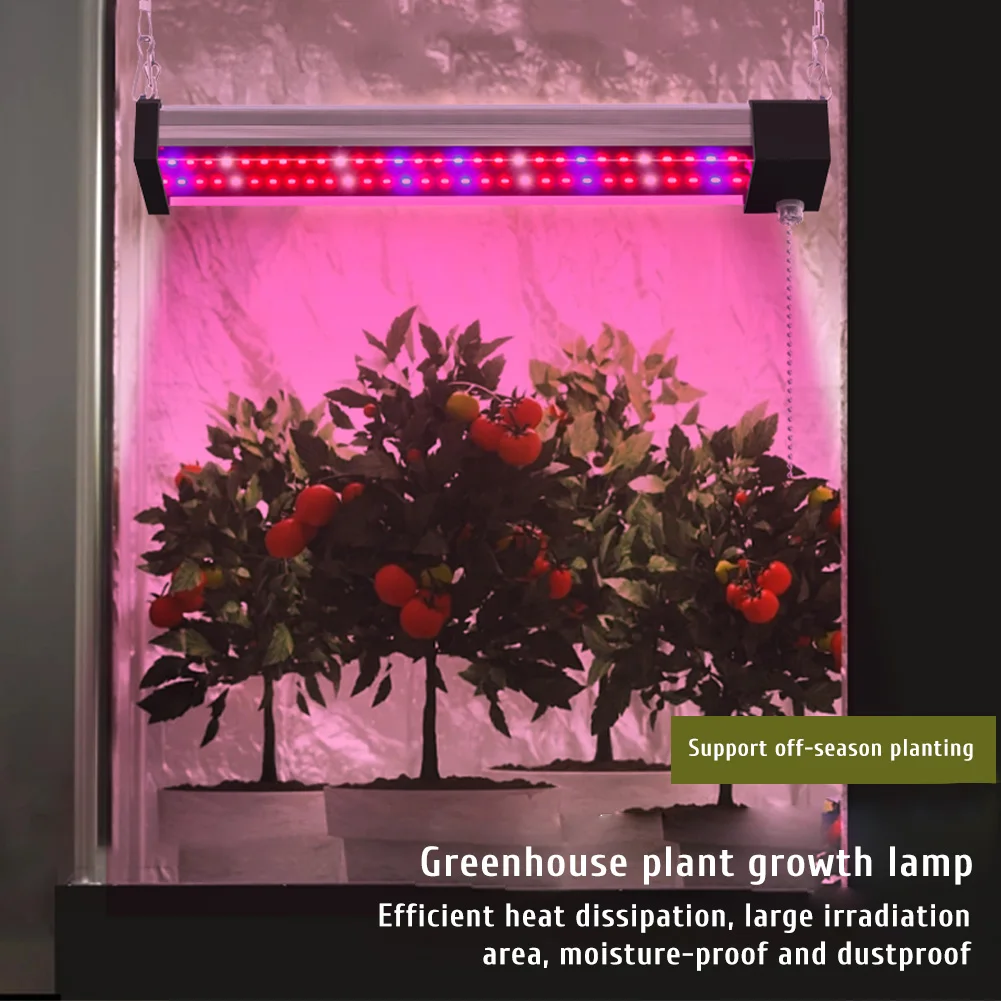 Lampe horticole de croissance LED pour plantes, imperméable, éclairage d'intérieur, intensité variable, pour semis et légumes